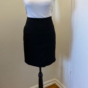 Express Pencil Skirt
